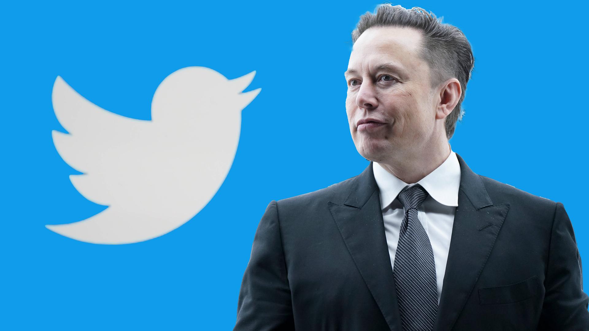 Elon Musk rachète Twitter et vire une partie de ses dirigeants